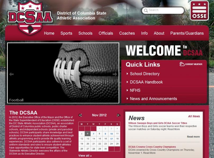 DCSAA Website 2.jpg